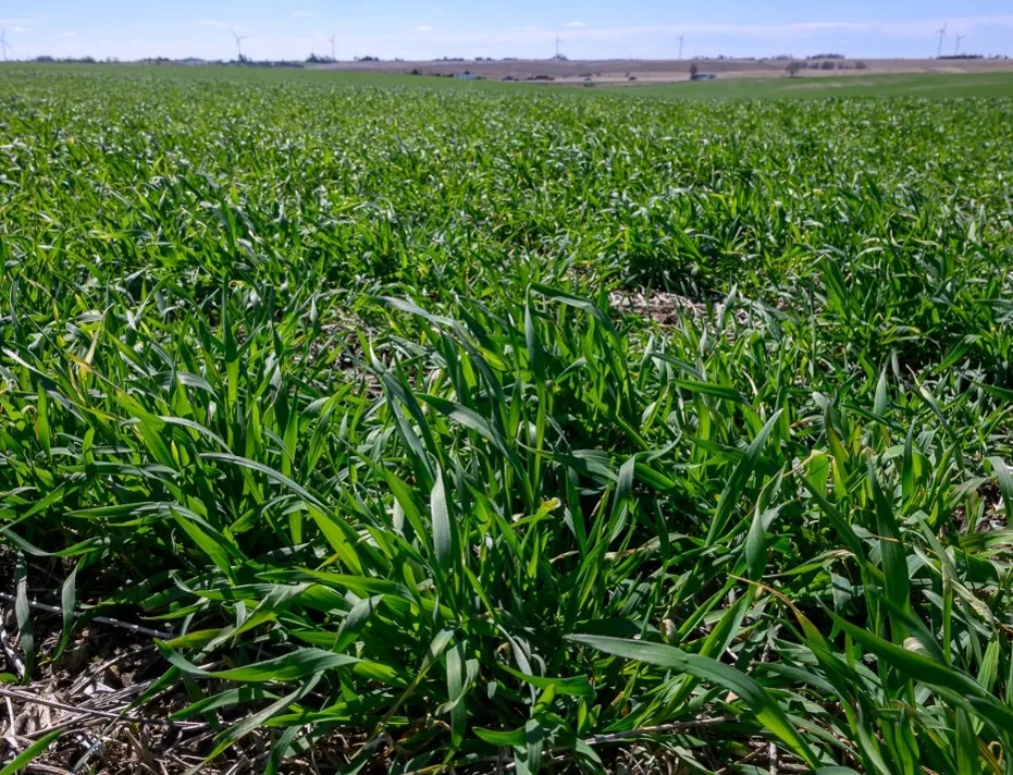 Field picture for Farmers for Soil Health